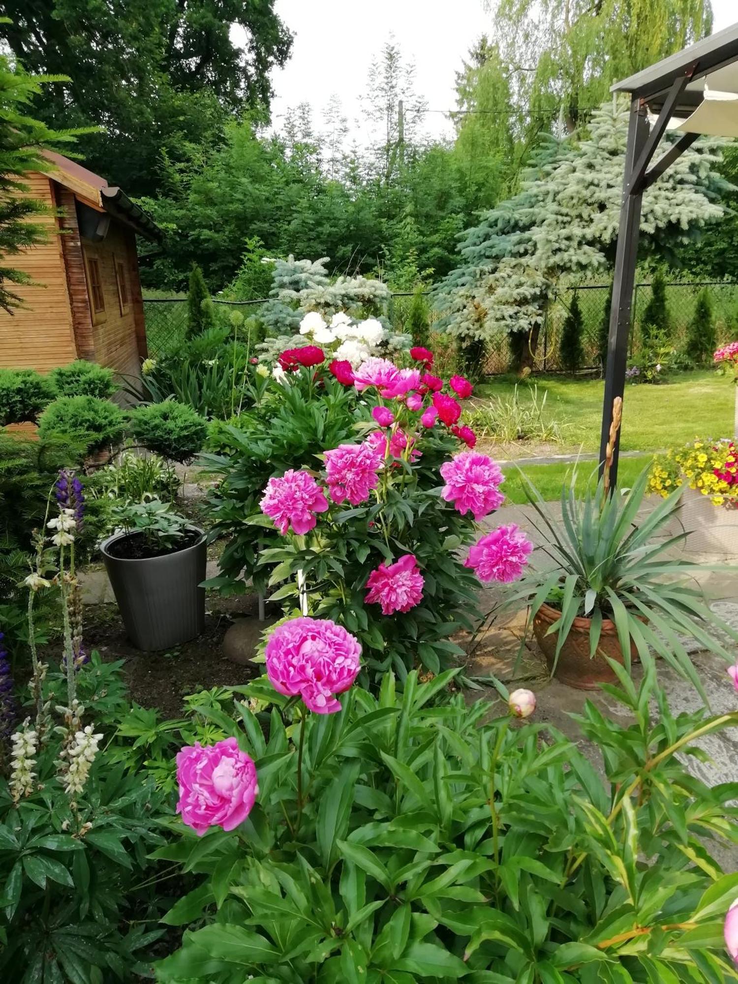 Apartament Wlodek Jelenia Gora Luaran gambar