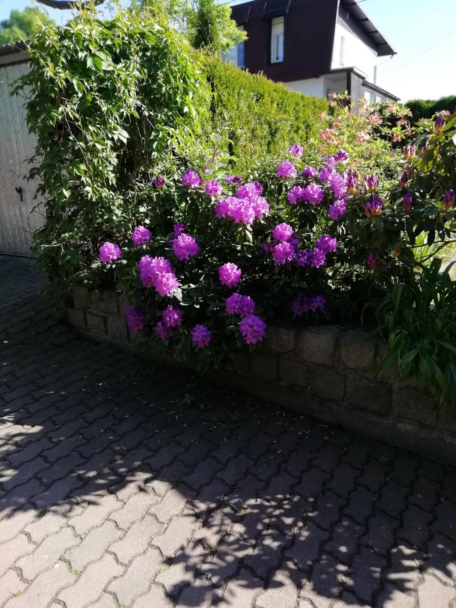 Apartament Wlodek Jelenia Gora Luaran gambar