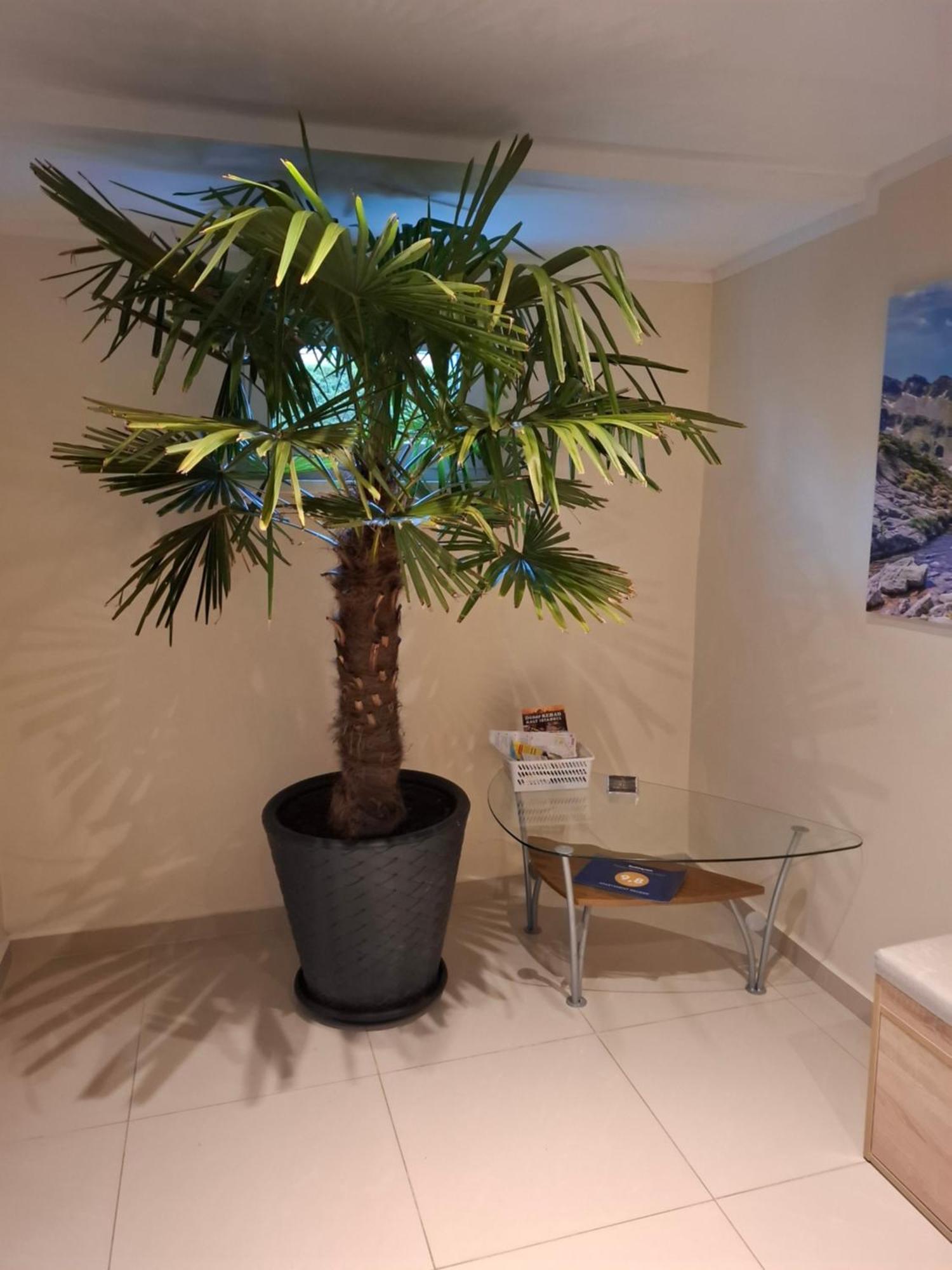 Apartament Wlodek Jelenia Gora Luaran gambar